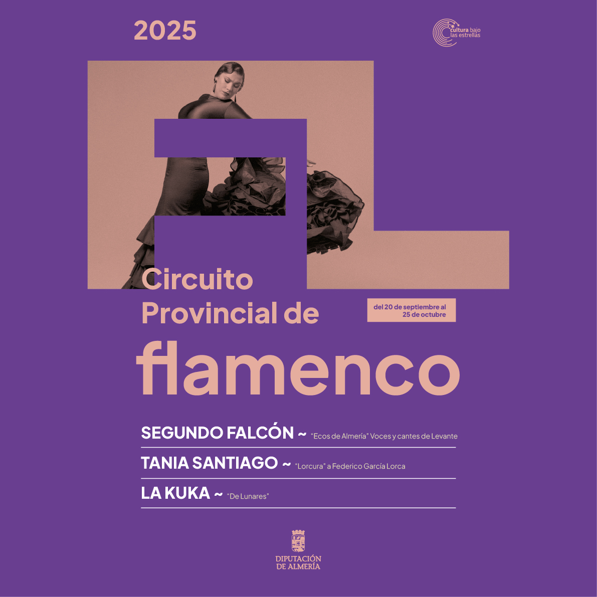 Circuito Provincial de Flamenco