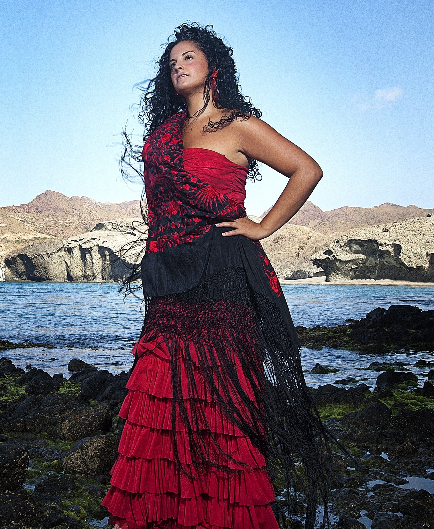 Navidad Flamenca
